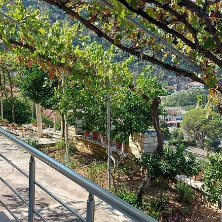 Green Forest Μπεράτ Εξωτερικό φωτογραφία